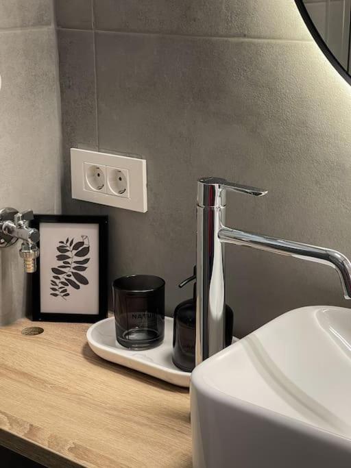 Studio With A View On City Center Park ماريبور المظهر الخارجي الصورة
