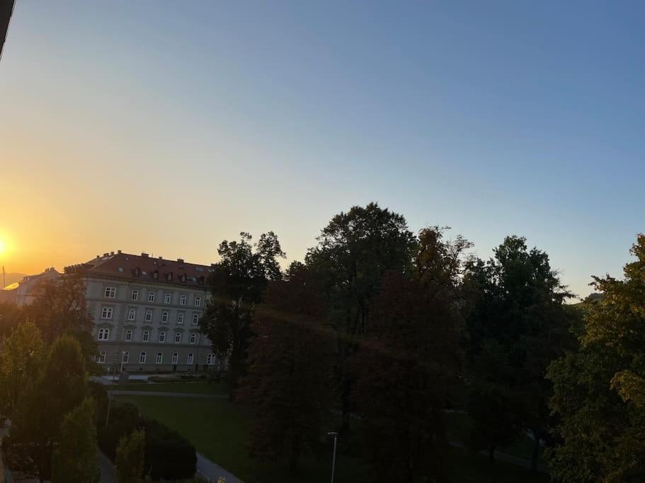 Studio With A View On City Center Park ماريبور المظهر الخارجي الصورة