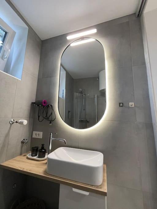 Studio With A View On City Center Park ماريبور المظهر الخارجي الصورة