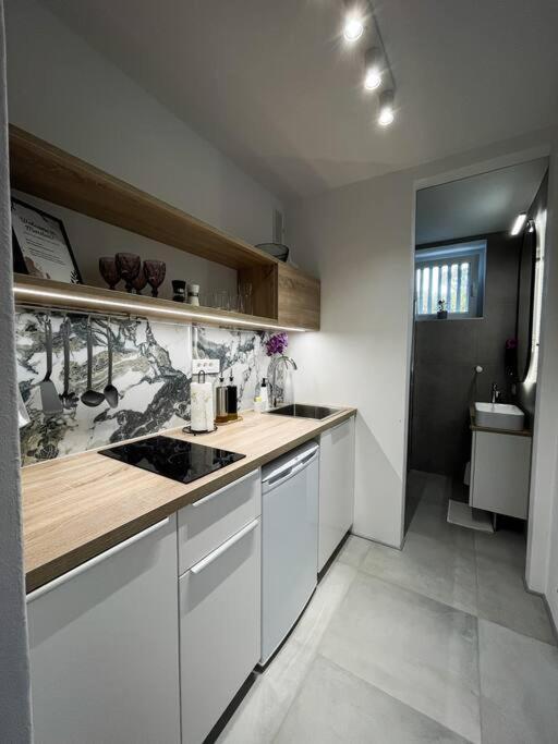 Studio With A View On City Center Park ماريبور المظهر الخارجي الصورة