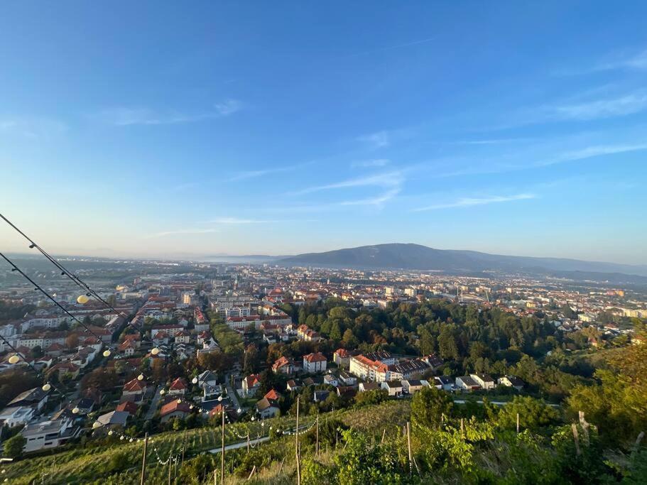 Studio With A View On City Center Park ماريبور المظهر الخارجي الصورة