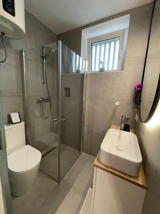 Studio With A View On City Center Park ماريبور المظهر الخارجي الصورة