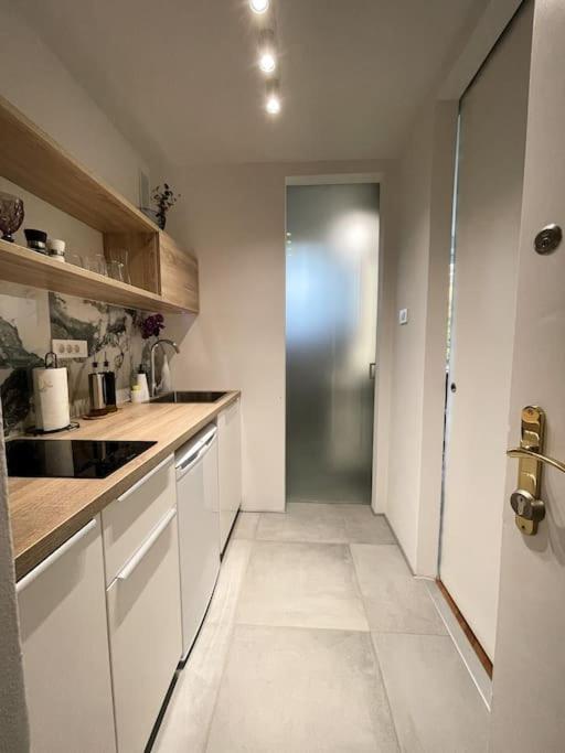 Studio With A View On City Center Park ماريبور المظهر الخارجي الصورة